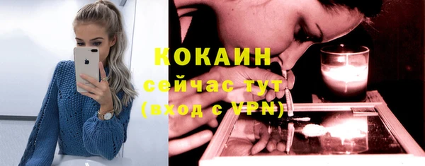 винт Армянск