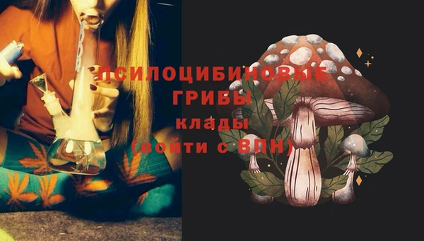 винт Армянск