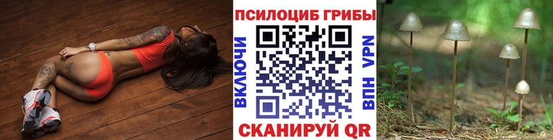 OMG зеркало  Балтийск  Псилоцибиновые грибы мицелий 
