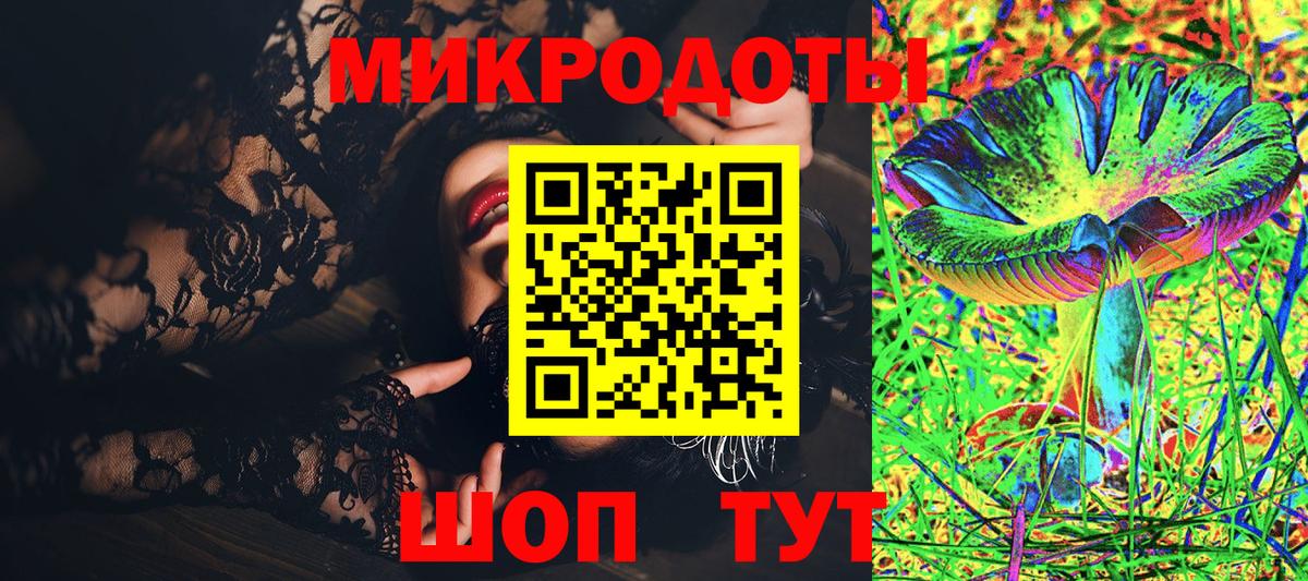 Балтийск  где найти   Вход с VPN  Псилоцибиновые грибы Psilocybe  Псилоцибиновые грибы ЛСД 